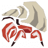 Hermitaur