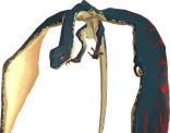 Remobra
